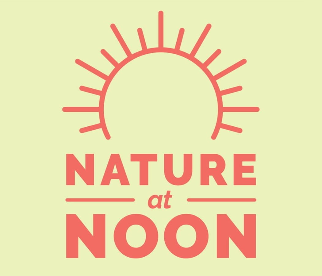 Nature at Noon — Washington Square